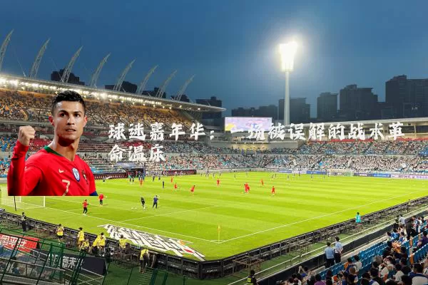 球迷嘉年华:一场被误解的战术革命温床