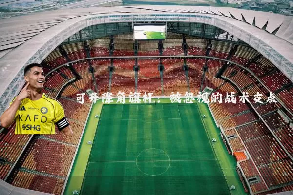 可升降角旗杆:被忽视的战术支点